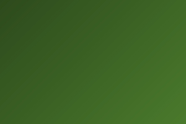 Oil and Gas Bearings