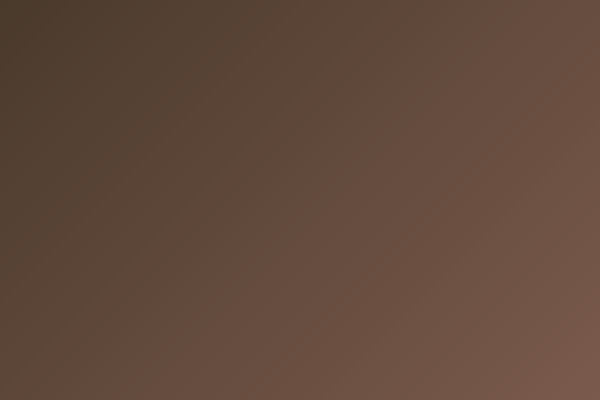 Steel and Metals Bearings